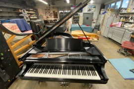 1918 Steinway Model A3 Silver and Black grand for sale • Click to enlarge